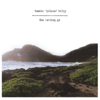 Imagen de The Letting Go [Vinilo]