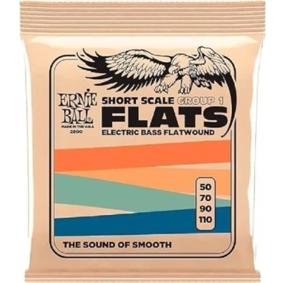 Imagen de Ernie Ball Short Scale Flatwound Grupo 1, Cuerdas para bajo de escala corta, entorchado plano, calibre 50 110