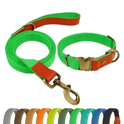 Imagen de Qianruida Juego de collar y correa para perros, ajustable, perros pequeños, medianos grandes, verde neón, XL