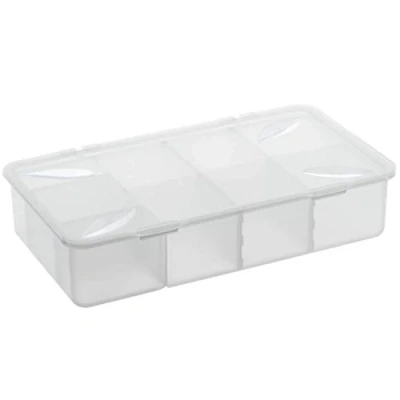 Imagen de Rotho Snappy Caja de almacenamiento 3l con compartimentos y tapa, Plástico (PP) sin BPA, transparente, (33 x 19 7.6 cm)