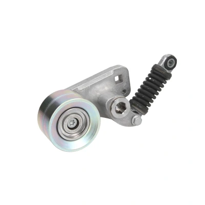 Imagen de HUTCHINSON T3078 Polea Tensora