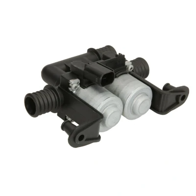 Imagen de THERMOTEC D0B001TT Válvula de control refrigerante BMW: 5 Berlina, X5