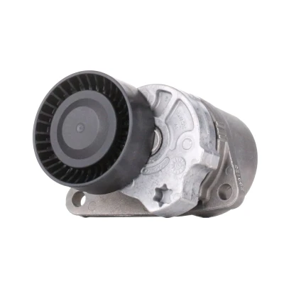 Imagen de INA 534 0103 10 Brazo tensor, correa trapecial poli V VOLVO: V40 Familiar, S70, XC90 I norauto, oscaro, mister auto