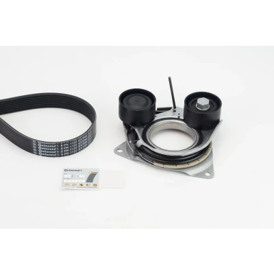 Imagen de CONTITECH 8PK1122 EXTRA K1 Juego de correas trapeciales poli V BMW: 5 Touring