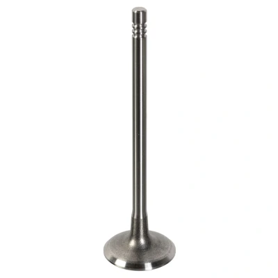 Imagen de FEBI BILSTEIN 181647 Válvula de Admisión 28,3 PEUGEOT: 206 SW, Hatchback, 307 CITROËN: C3 I C2 Hatchback