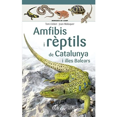 Imagen de Amfibis I Reptils de Catalunya (Miniguia camp)