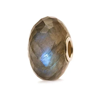 Imagen de Trollbeads 80104 Abalorio de Plata