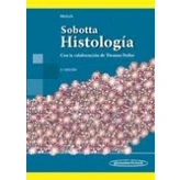 Imagen de Sobotta. Histologia