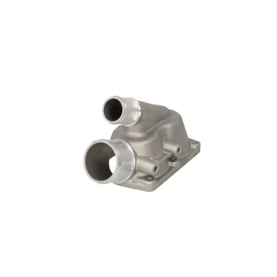 Imagen de Carcasa del termostato THERMOTEC D2SC005TT