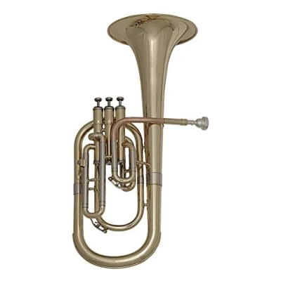 Imagen de Roy Benson Eb Alt Horn AH 301 (Instrument à vent professionnel, avec anche en laiton doré, coulisses extérieures maillechort, pistons acier inoxydable, et étui moulé léger)