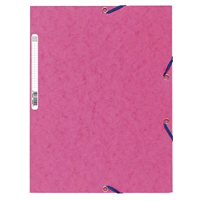 Imagen de Exacompta 55520E Carpeta con goma, A4, color rosa