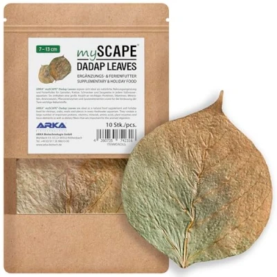 Imagen de ARKA mySCAPE DADAP Hojas 7 13cm / 10 Piezas Alimento Natural de Vacaciones para gambas, Caracoles y siluros, promueve la Salud en acuarios Agua Dulce.