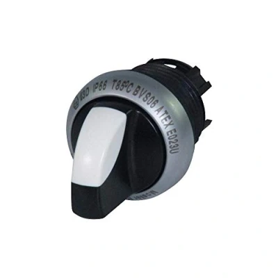 Imagen de Moeller 216867 Interruptor selector, palanca, 2 posiciones, negro, mantenido