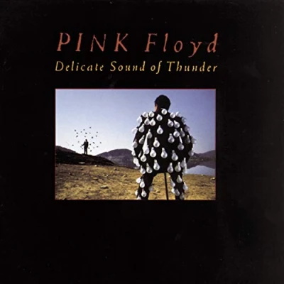 Imagen de Delicate Sound of Thunder