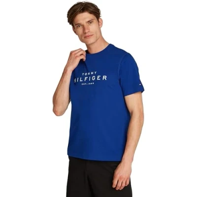 Imagen de Tommy Hilfiger BIG TEE Camiseta estampada, Hombre, Talla: XS, Wedge blue