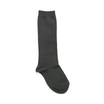 Imagen de Condor Calcetines Lisos Altos talla 6 en color Pino