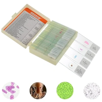 Imagen de HUAREW 30 Piezas Portaobjetos Microscopio Preparadas para Niños,Muestras de Plantas Animales Insectos Cellular, Científico Educación, Uso Escolar en Casa