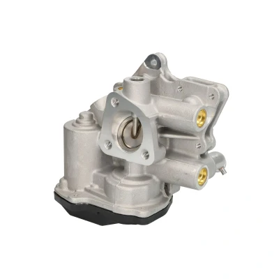 Imagen de PIERBURG 7.10334.15.0 Válvula EGR eléctrico de control con junta FIAT: Ducato III Furgón, Camión plataforma / Chasis