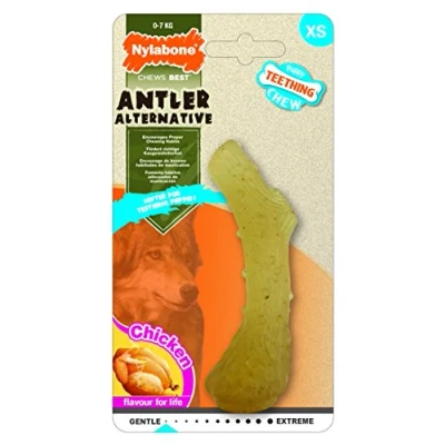Imagen de Nylabone Puppy Antler