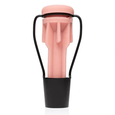 Imagen de Fleshlight Stand Dry