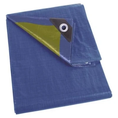 Imagen de Perel Impuesto, Resistente, 12 Ojales, ángulos Reforzados, rectangulares, Azul/Verde, 110 g/m², 2 x 4 m
