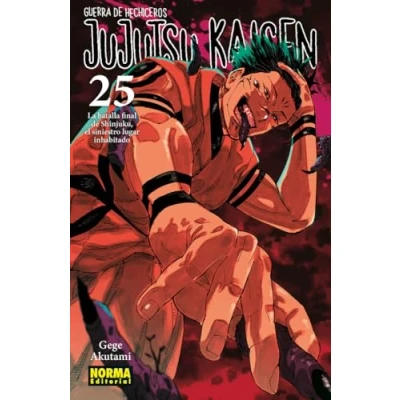 Imagen de JUJUTSU KAISEN 25