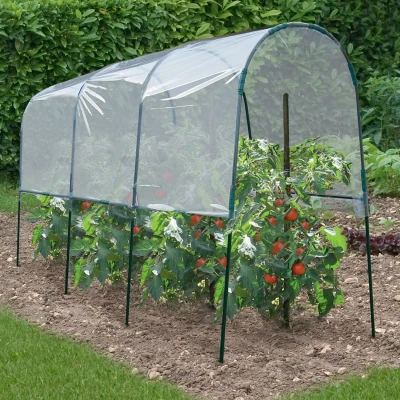Imagen de Túnel tomate invernadero 4 m