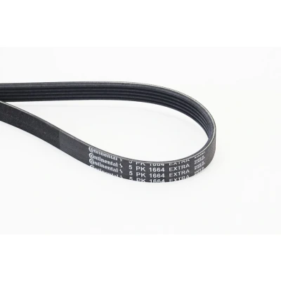 Imagen de CONTITECH 5PK1664 EXTRA Correa trapecial poli V 1664 5
