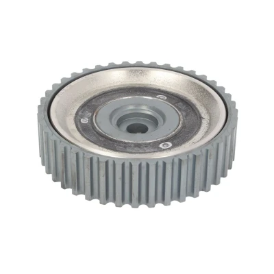 Imagen de DAYCO CSP1000 Rueda dentada, árbol de levas RENAULT: Scénic 1, Kangoo I, I Express