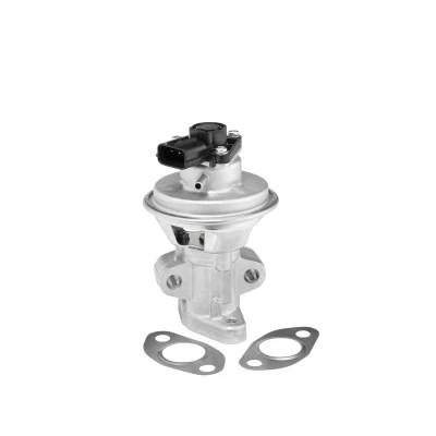 Imagen de WAHLER 712063D Válvula EGR electroneumático