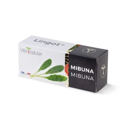 Imagen de Véritable Lingot® Mibuna Bio Compatible con Huerto di Interior Exky® Recarga Lista para Usar Sustrato Semillas integradas