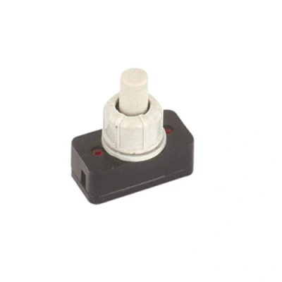 Imagen de Electro DH Interruptor unipolar a pulsador 1A/250VAC Color Blanco 11.173.I 8430552072149