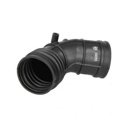 Imagen de FEBI BILSTEIN 39055 Tubo flexible de aspiración, filtro aire BMW: 3 Touring, Berlina, Cabrio norauto, oscaro, mister auto