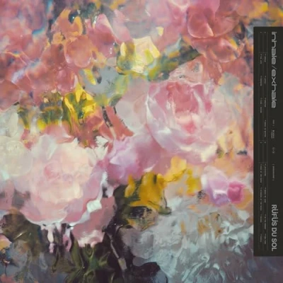 Imagen de Inhale/Exhale (2 LP) [Vinilo]