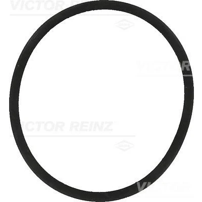 Imagen de REINZ 40 77557 00 Junta Colector de Admision SEAT: Ibiza 3, 4 ST, Córdoba II Berlina, VOLKSWAGEN: Polo V Hatchback, IV Hatchback