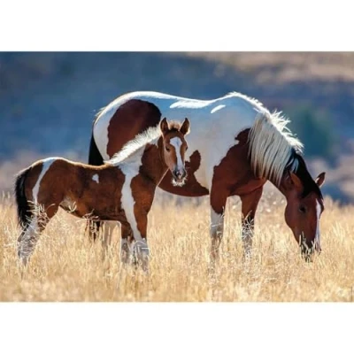 Imagen de Ravensburger Puzzle para Adultos (12000928)