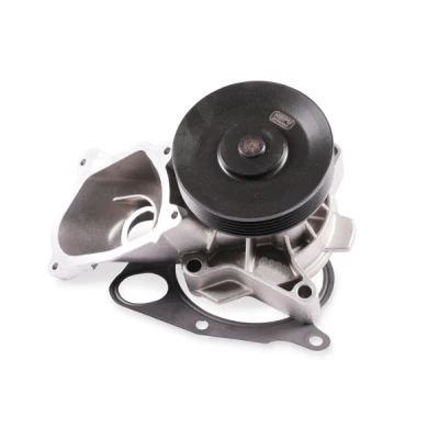 Imagen de HEPU P2605 Bomba de agua con polea para correa poli V junta mecánico LAND ROVER: Freelander I SUV, SUV Cabrio, MG: ZT Berlina