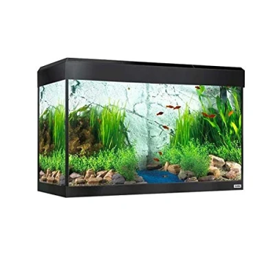 Imagen de Kit Acuario con iluminación LED Bluetooth Fluval Roma, 125 l, Negro