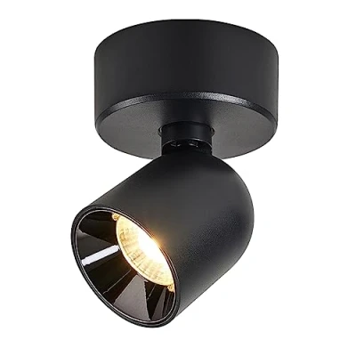 Imagen de Budbuddy 12W Lámpara de Techo LED Con 1 Focos Orientables Para Moderno Pared Regulable Superficie Spot Negro Interior Pasillo Salón Tiendas etc,3000K