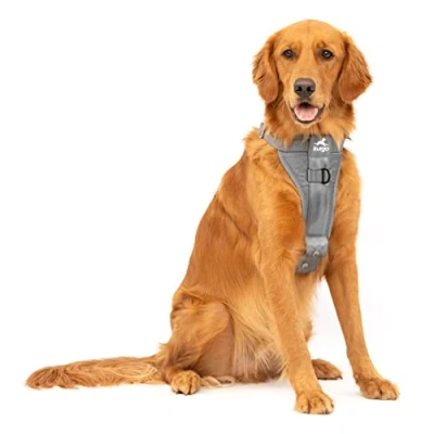 Imagen de Kurgo Tru Fit Arnés para Perro, de Paseo Perros, Anillo en D Entrenamiento sin Tirones, Incluye Mosquetón Seguridad Gris, L