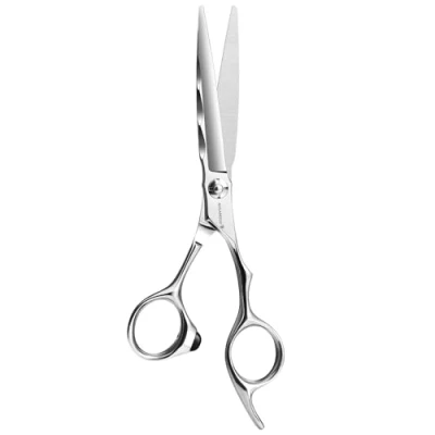 Imagen de AOLANDUO Tijeras profesionales de acero Aichi: Cuchillas corte precisión 6.0 pulgadas para resultados naturales y suaves, duraderas ultra afiladas estilistas salón peluqueros.