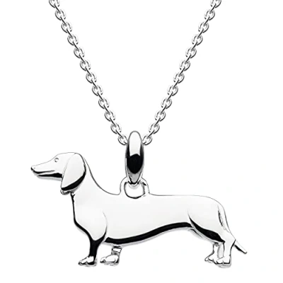Imagen de Dew Collar de perro salchicha plata ley, 45,7 cm largo