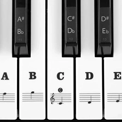 Imagen de MUYOS Pegatinas de piano para teclados 54/61/76/88 (transparentes y extraíbles), juego completo calcomanías teclas blancas negras (negro)