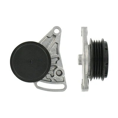 Imagen de SKF VKM 31059 Polea Tensora AUDI: A6 C5 Berlina, A4 B5 B6 VOLKSWAGEN: Passat GP Variant