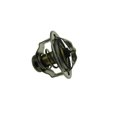 Imagen de Termostato, refrigerante AUTOMEGA 160099610