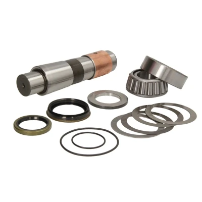 Imagen de Kit de reparación, pivote C.E.I 230013