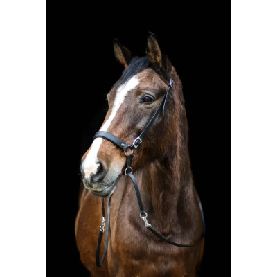Imagen de F.R.A. Bitless Bridle Janosch