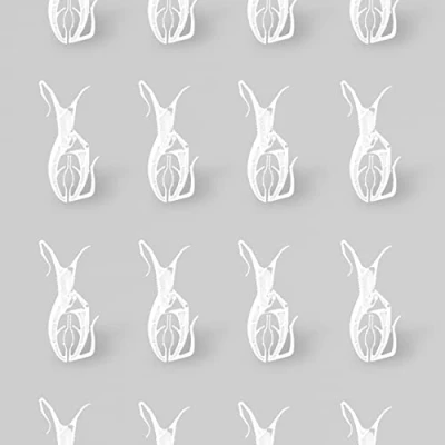 Imagen de Pinzas para la colada, resistentes al viento, 100 % plástico reciclable, diseño sueco. (16 horas)