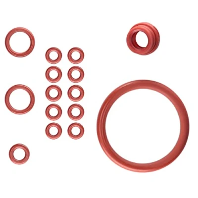Imagen de SW K Kit de mantenimiento con juntas para grupo café, válvula soporte, tanque agua, manguera presión, compatible Philips Saeco Gaggia Spidem, Set 10