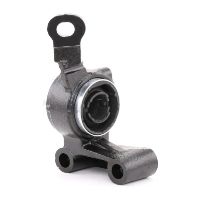 Imagen de DELPHI TD665W Silentblock Brazo de Suspension oscilante transversal MINI: Hatchback, Cabrio norauto, oscaro, mister auto